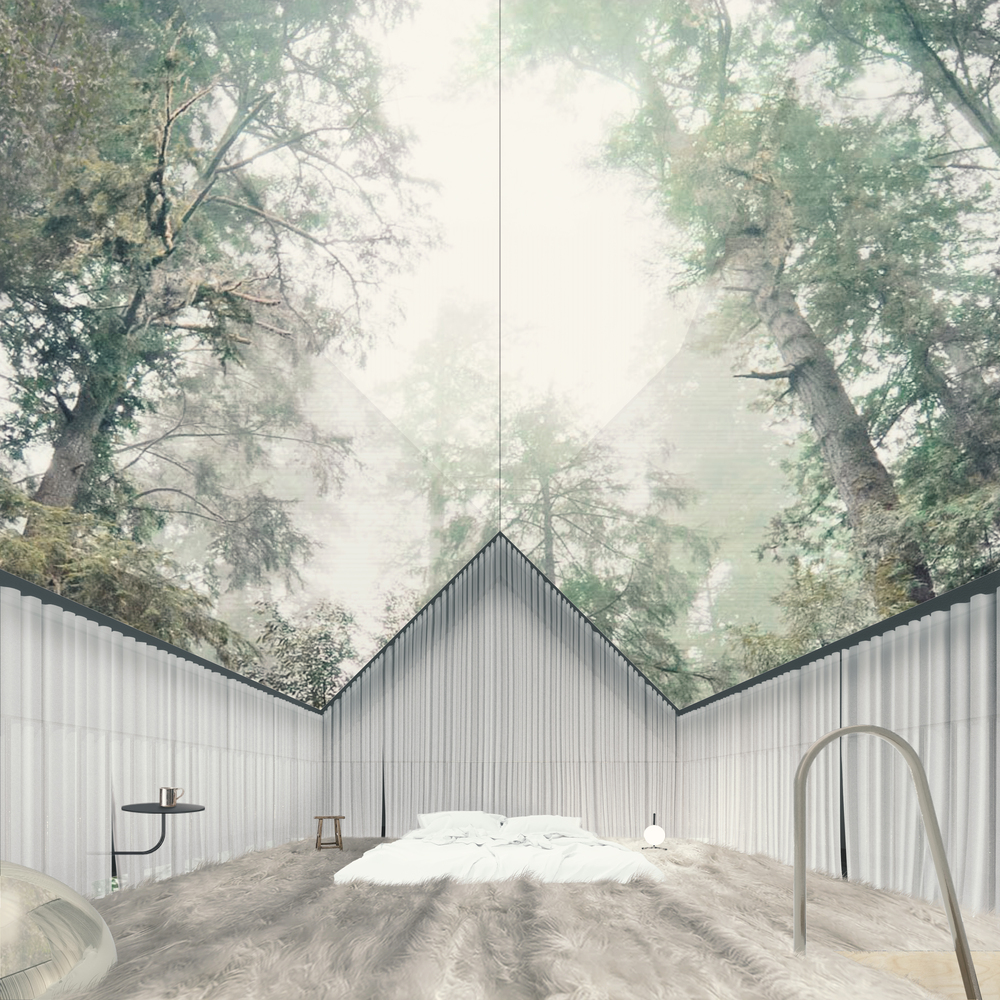 1557382589899818.jpg 19_Jon_Lott_Stump_House_Perch.jpg