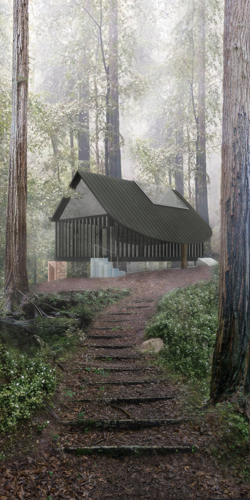 1557382645160002.jpg 20_Jon_Lott_Stump_House_Approach.jpg