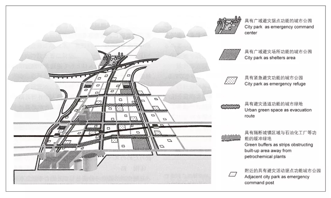 1557470372528557.jpg 640.webp (5).jpg