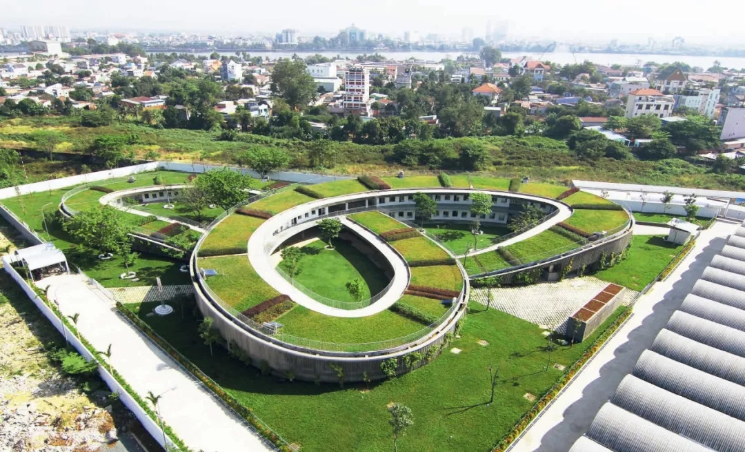 1559120634902311.jpg 20190529_163631_020.jpg