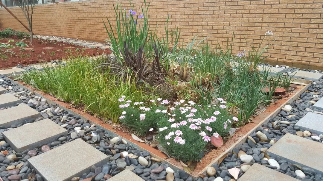 1559120747611123.jpg 20190529_163631_023.jpg