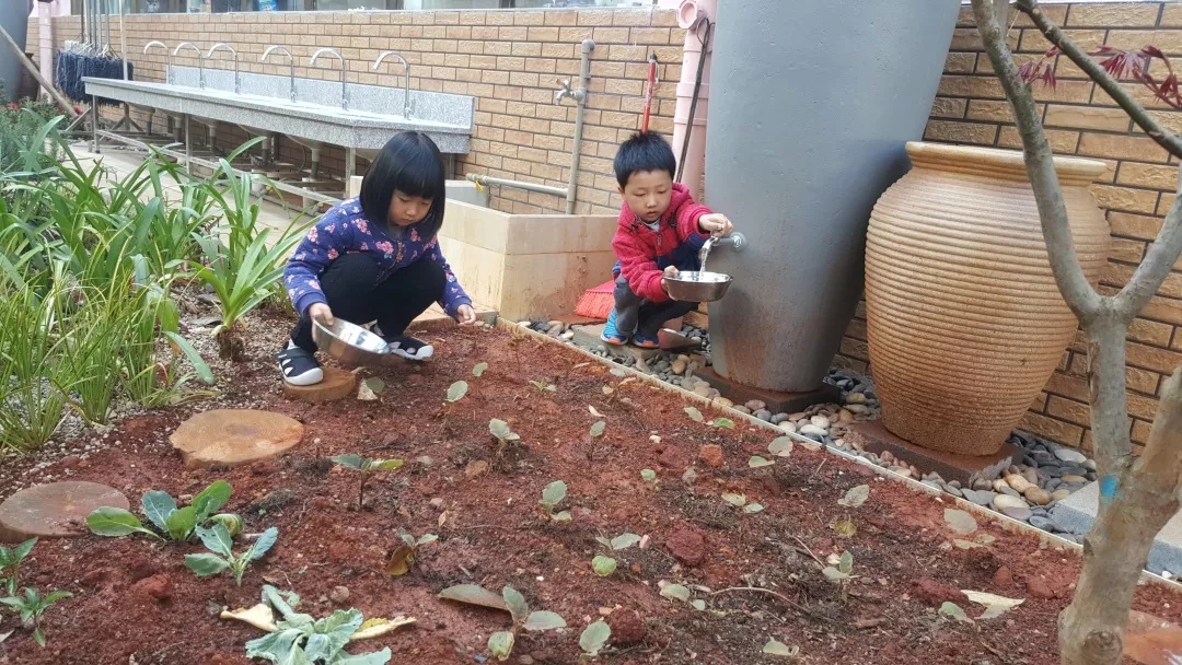 1559120758532914.jpg 20190529_163631_024.jpg