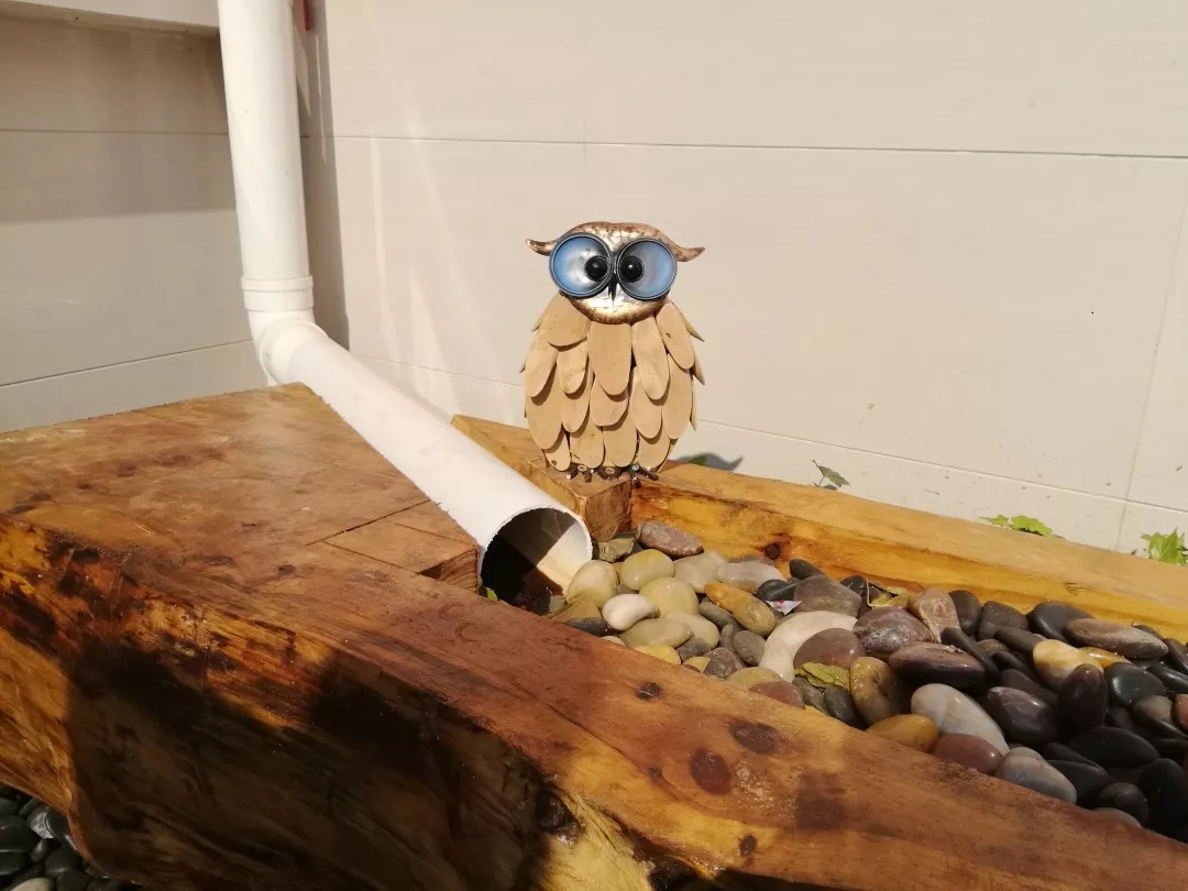 1559120766110170.jpg 20190529_163631_025.jpg