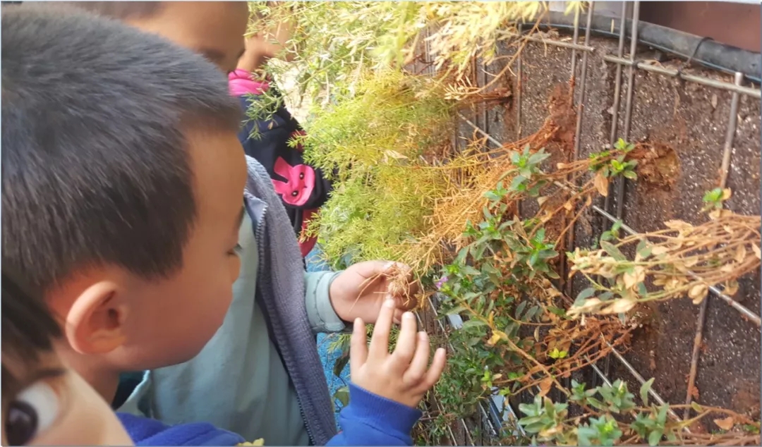 1559120777193280.jpg 20190529_163631_026.jpg