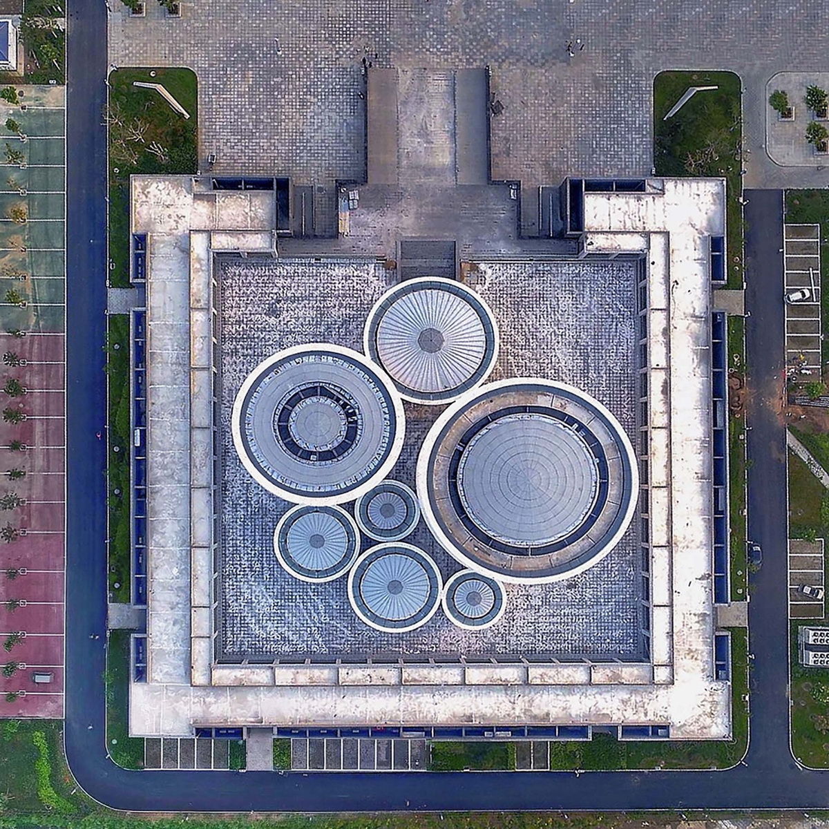 1559543772805656.jpg 20190603_110019_008.jpg