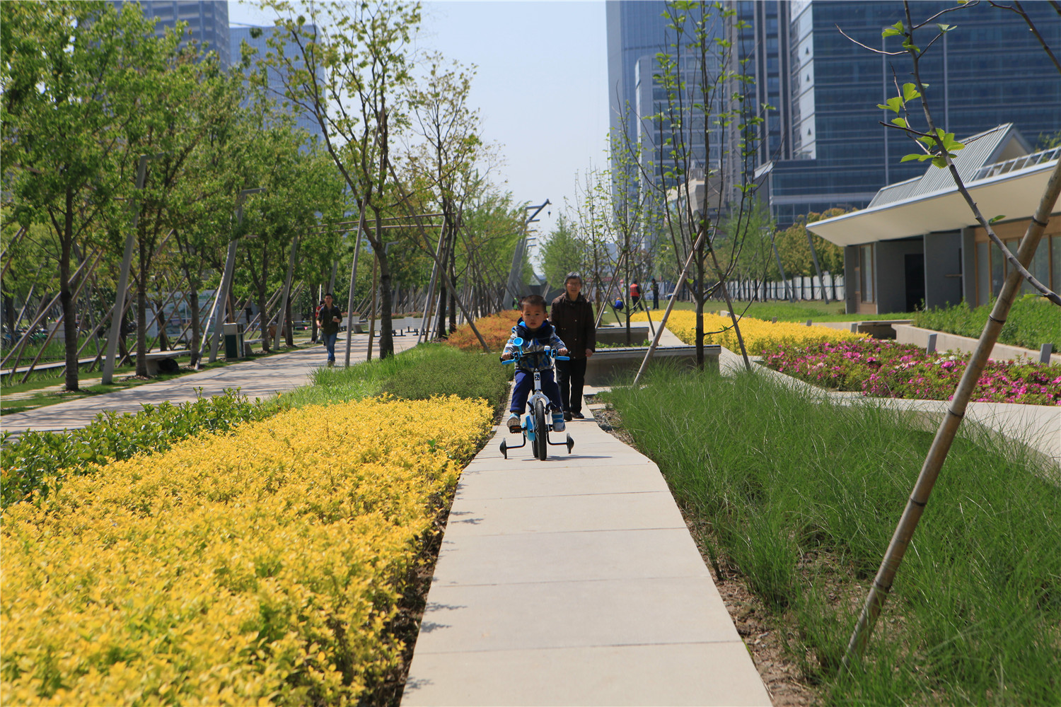 1560840831931596.jpg 00000017135 (1).jpg