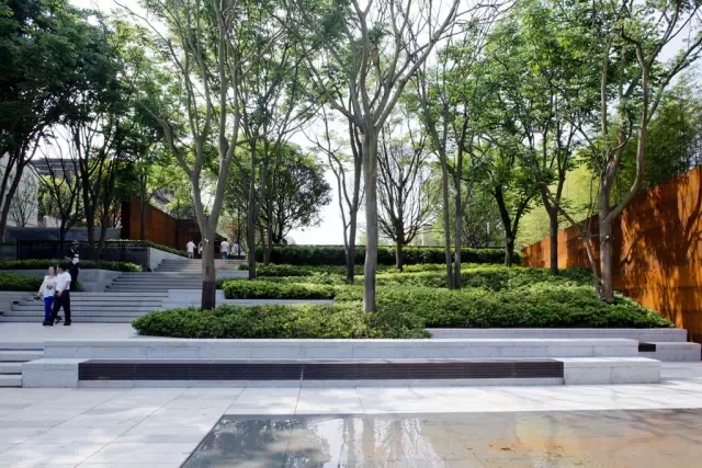 1561012862295592.jpg 640.webp (3).jpg