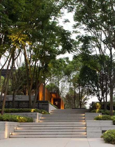 1561012885189143.jpg 640.webp (4).jpg