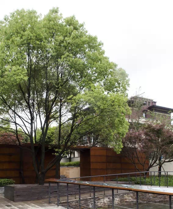 1561012893377698.jpg 640.webp (5).jpg