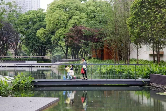 1561012901352786.jpg 640.webp (6).jpg