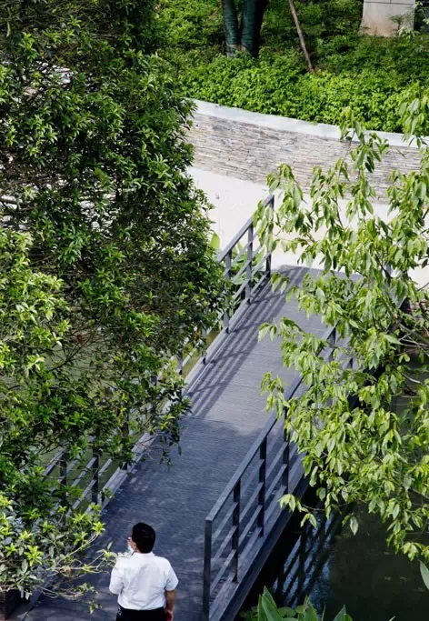 1561012909672426.jpg 640.webp (7).jpg