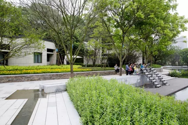 1561012968418839.jpg 20190620_142423_012.jpg