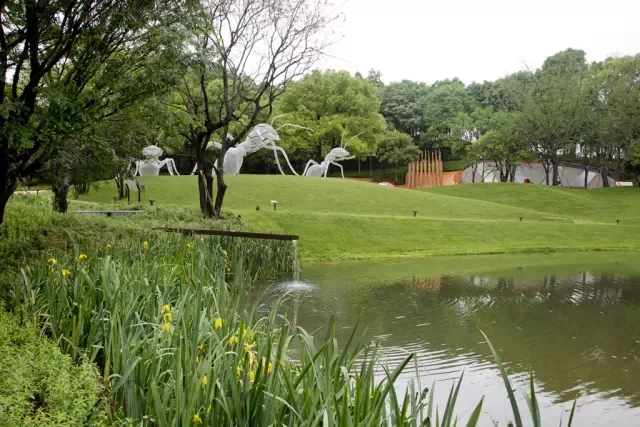 1561013060308611.jpg 20190620_142423_017.jpg