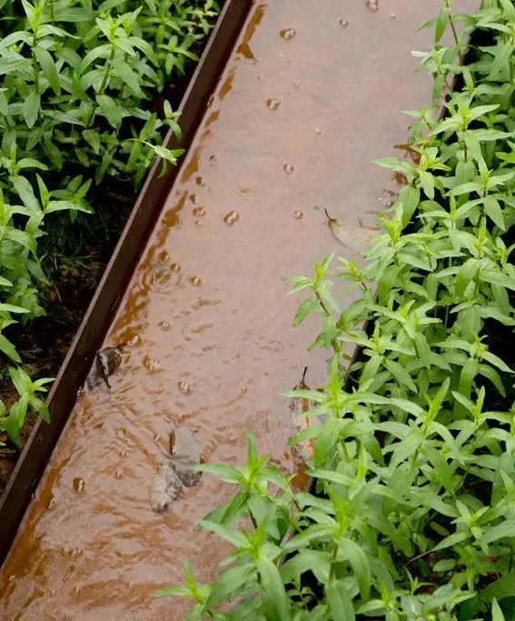 1561013067282773.jpg 20190620_142423_018.jpg