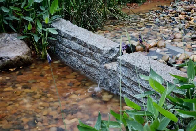 1561013083617046.jpg 20190620_142423_019.jpg