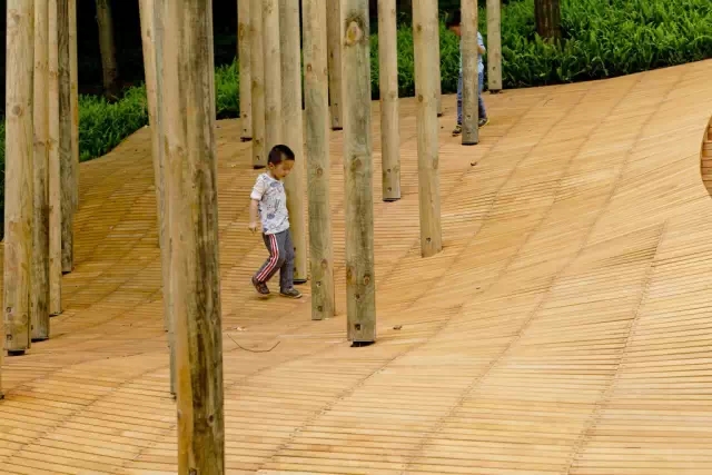 1561013108382383.jpg 20190620_142423_022.jpg