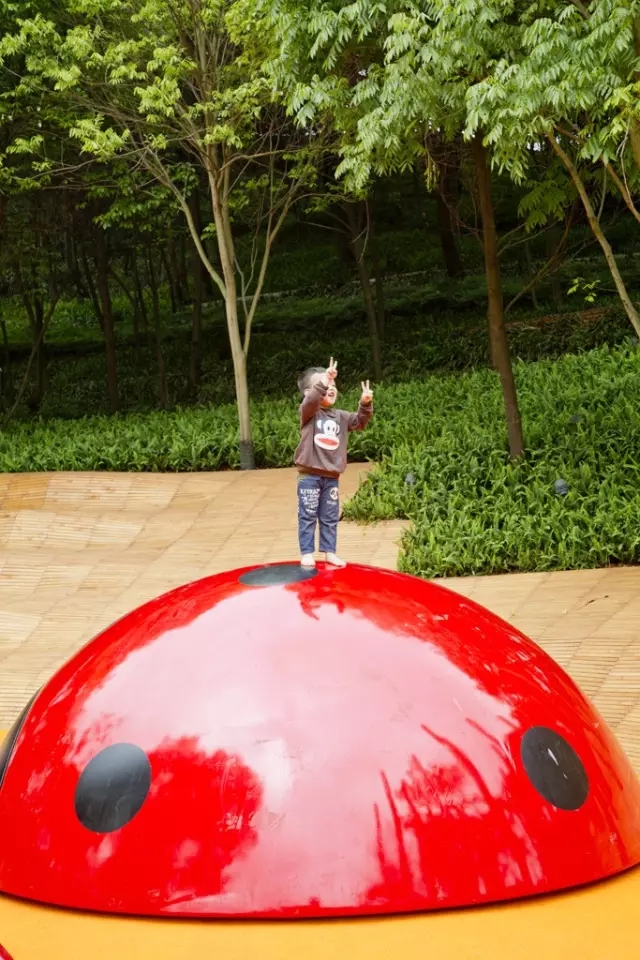 1561013129984590.jpg 20190620_142423_025.jpg