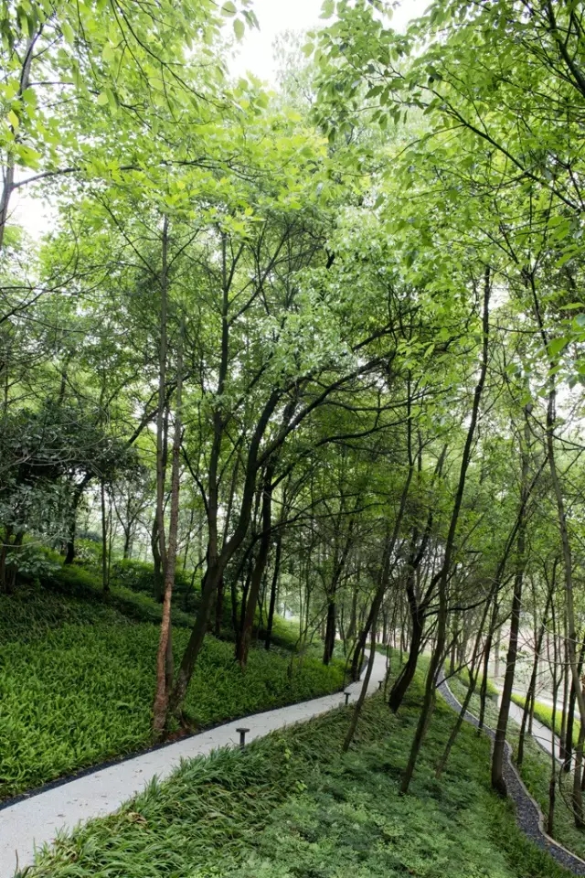 1561013170494845.jpg 20190620_142423_031.jpg