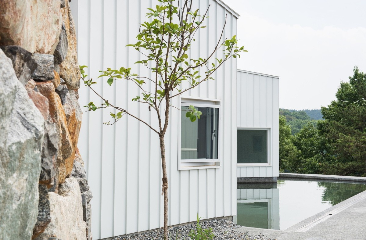 1564107872158985.jpg 20190726_102109_002.jpg