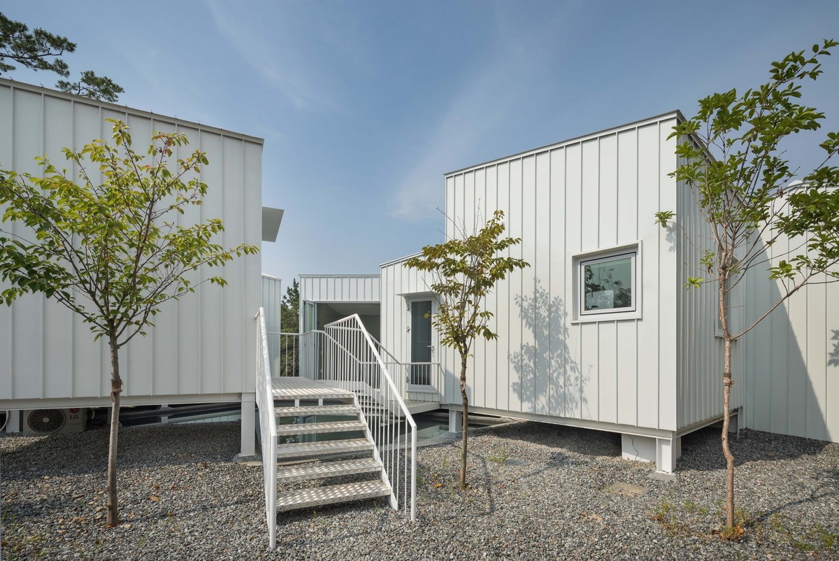 1564107925421373.jpg 20190726_102109_009.jpg