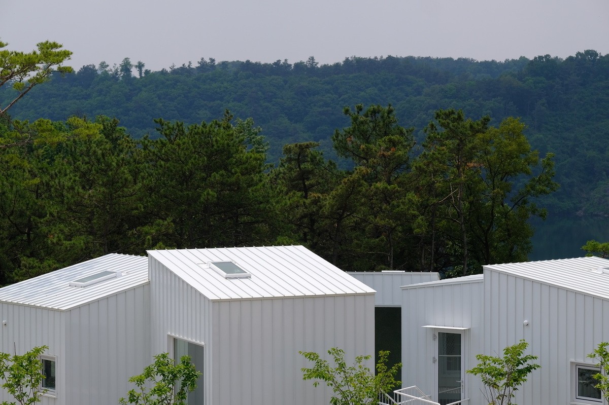 1564107936747340.jpg 20190726_102109_010.jpg