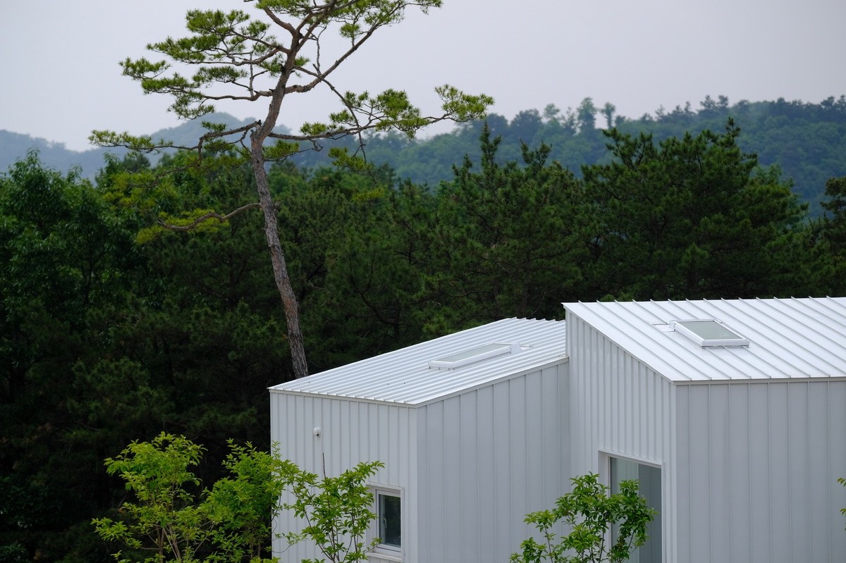 1564107945166914.jpg 20190726_102109_011.jpg