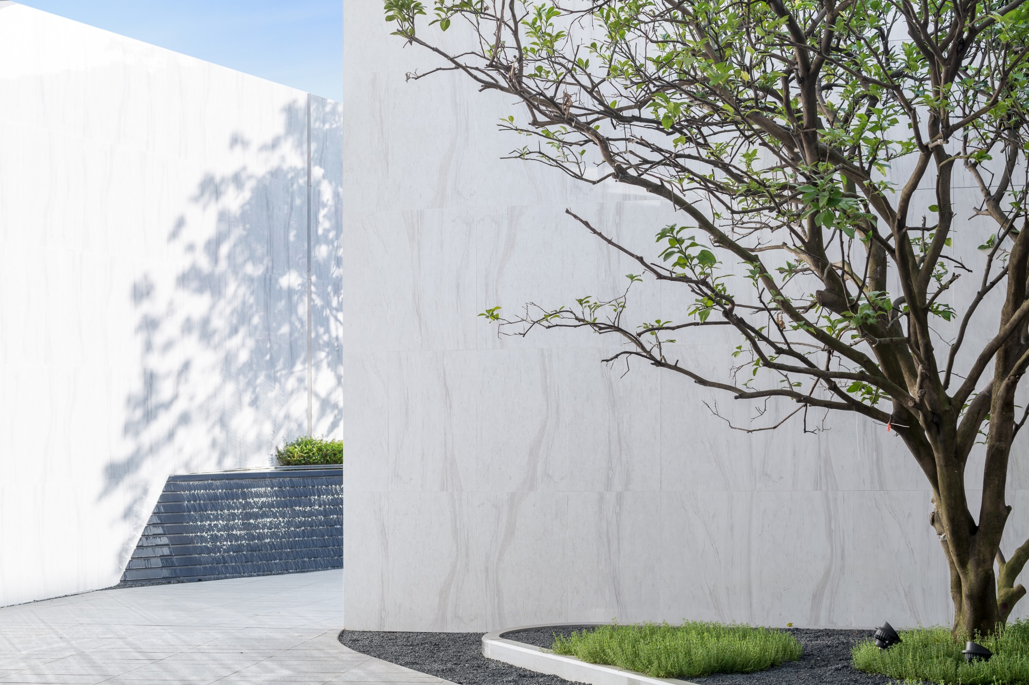 1567475207869159.jpg 1.jpg