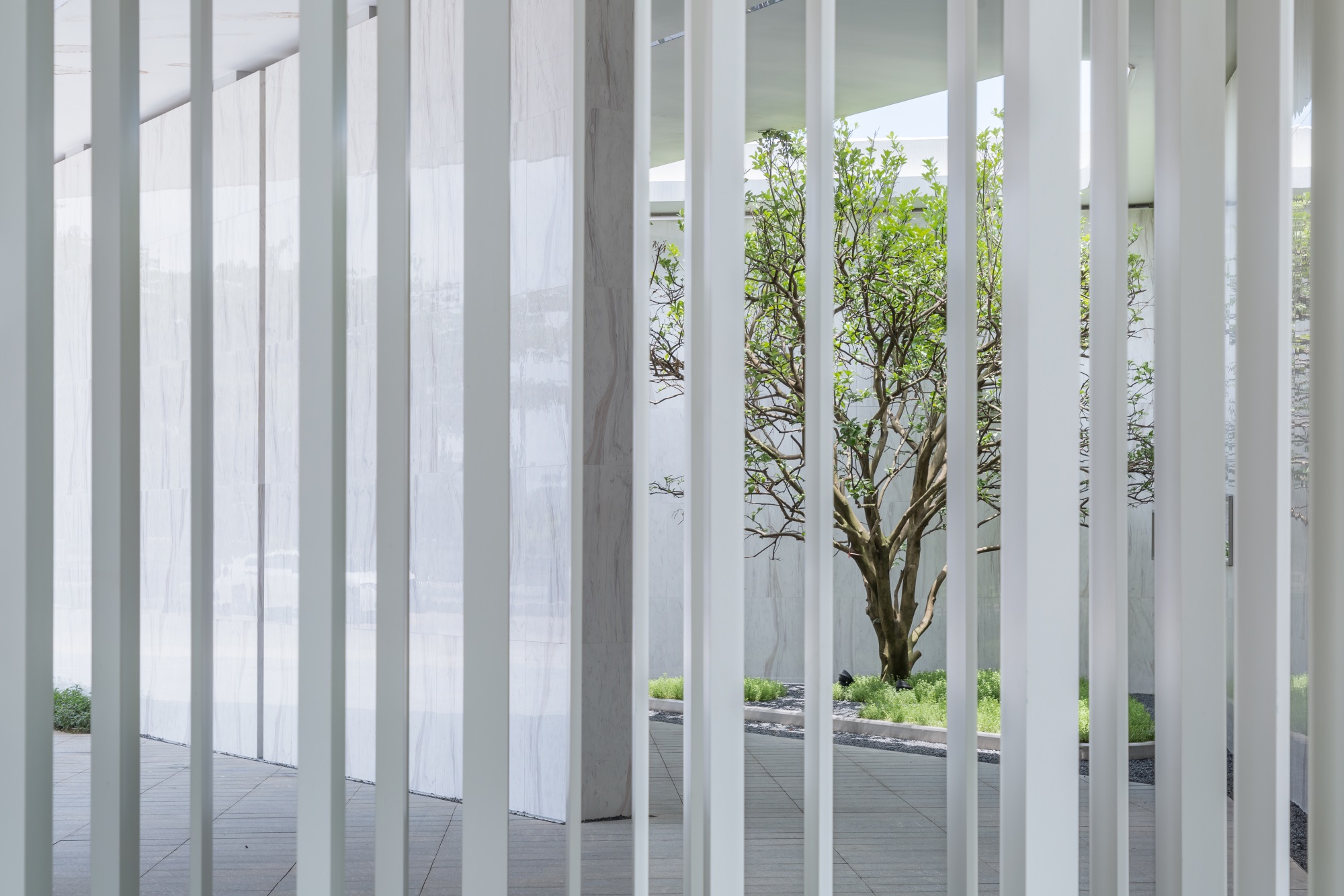 1567475323510409.jpg 11.jpg