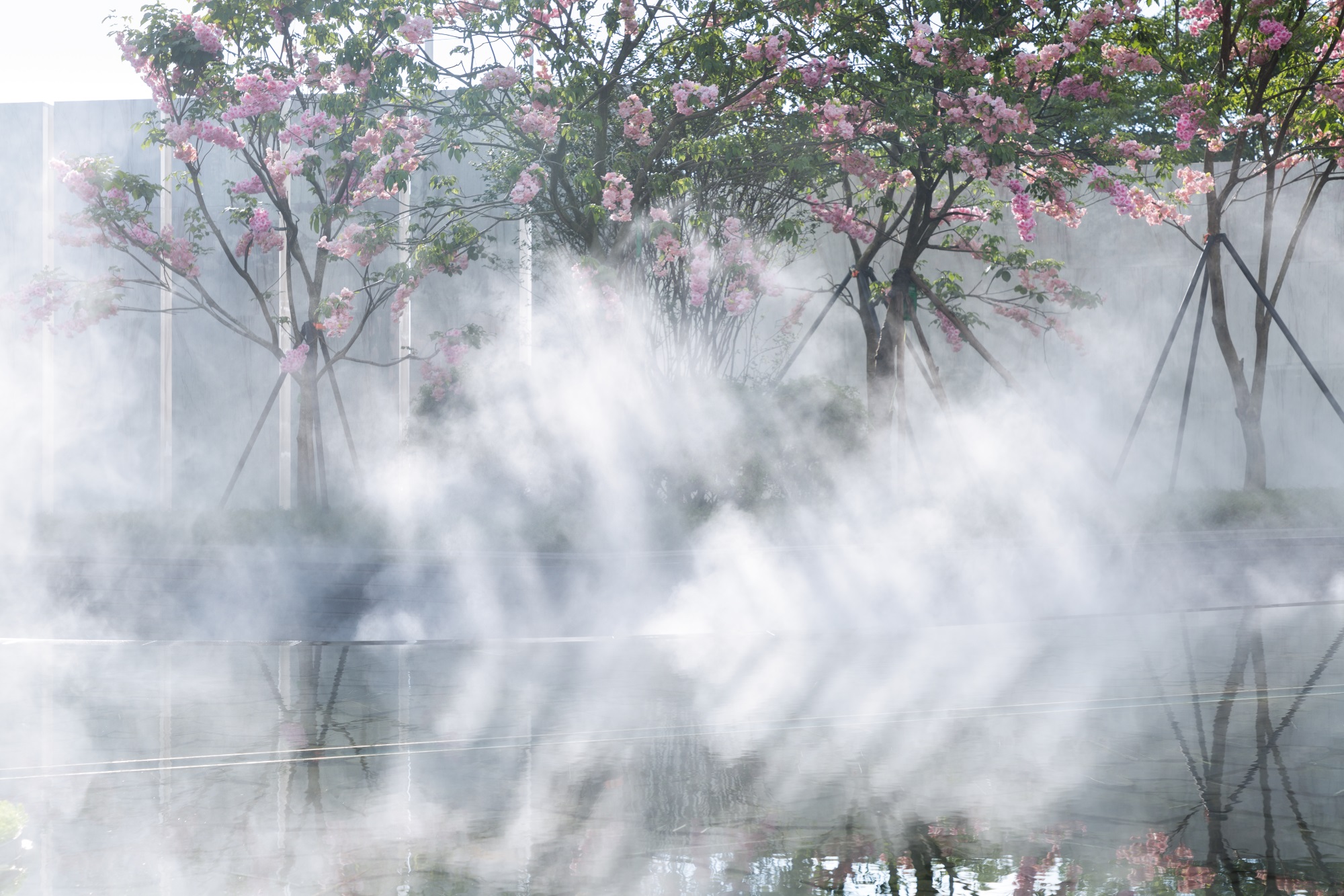 1567475383124721.jpg 17.jpg