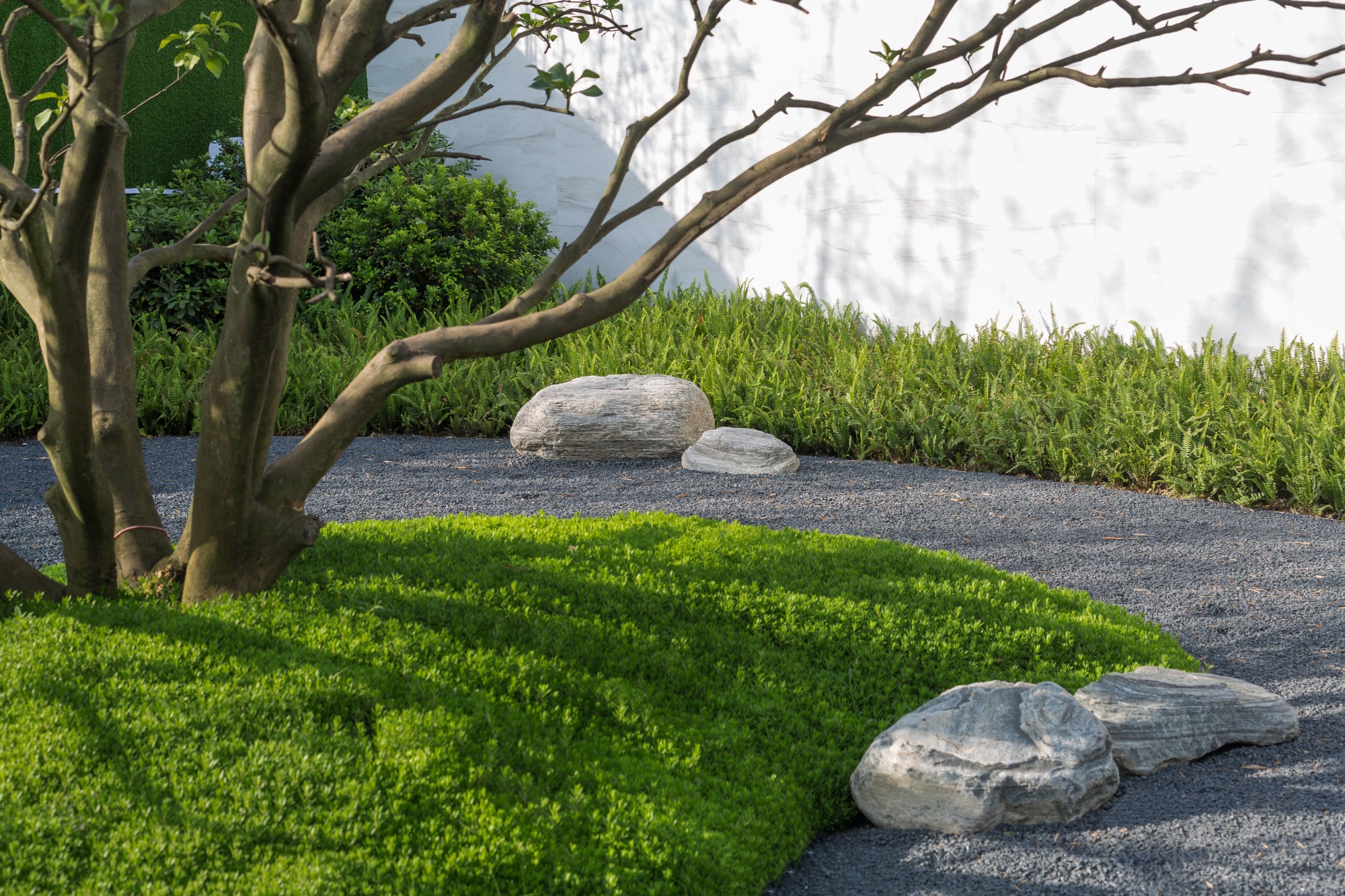 1567475420277527.jpg 24.jpg