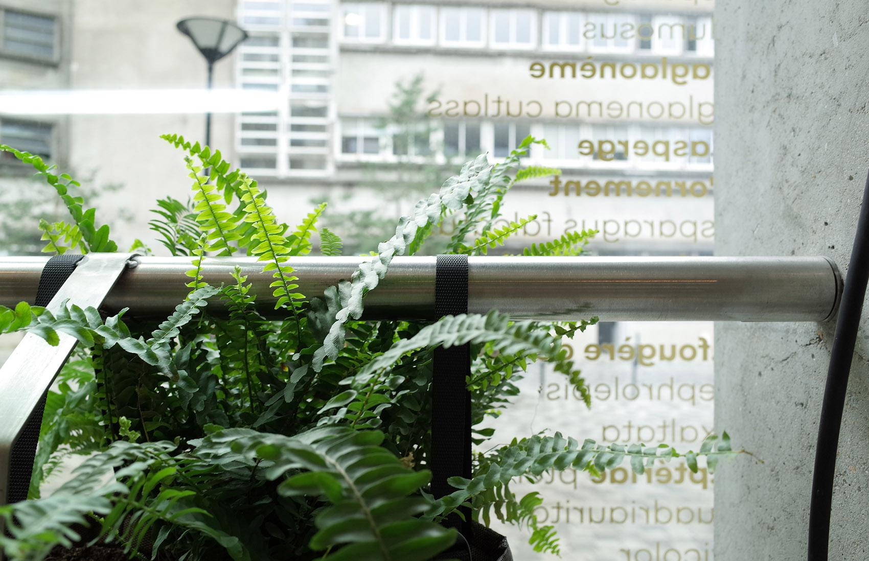 1568601250273818.jpg 6.jpg