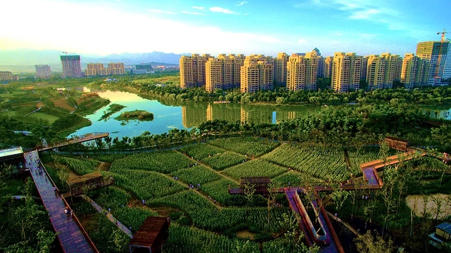 1568688898907352.jpg 20190917_104352_024.jpg