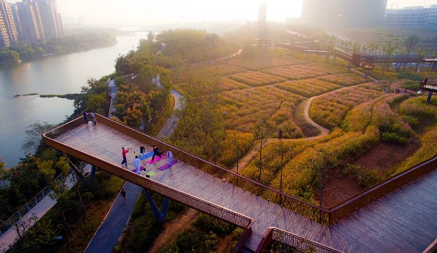 1568688906784921.jpg 20190917_104352_025.jpg