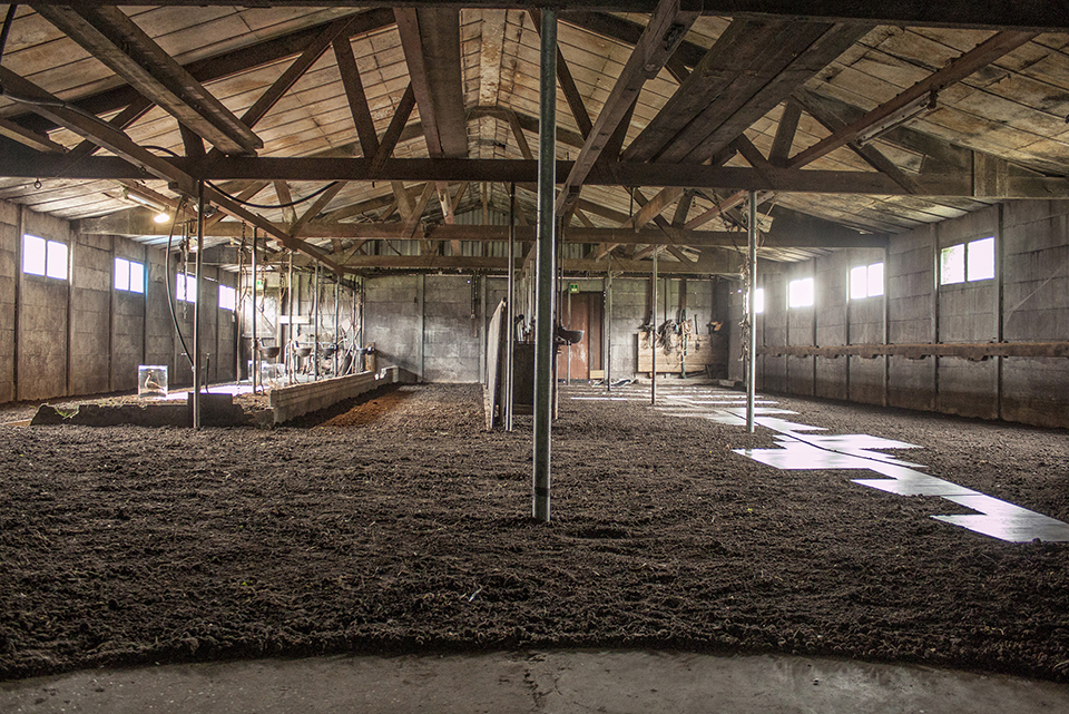 1568858925186473.jpg 10.jpg