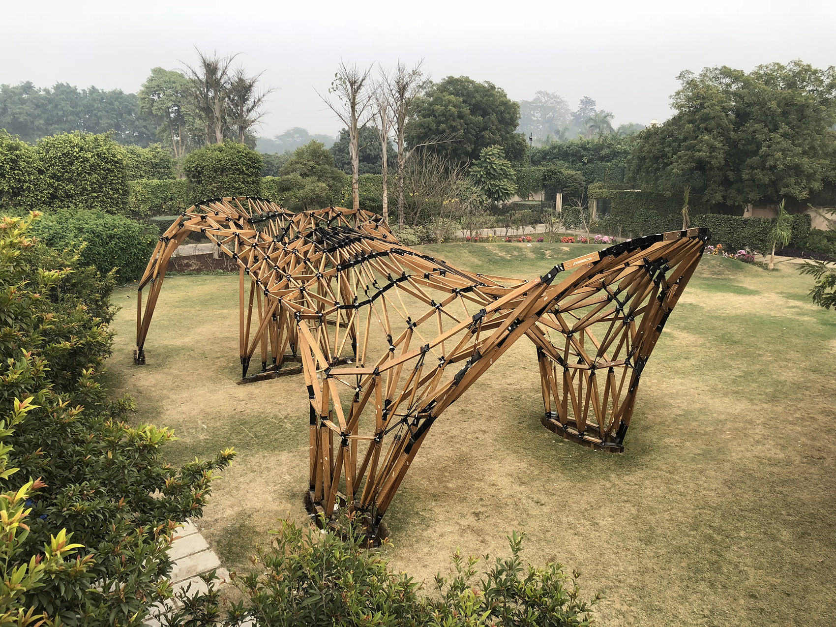 1569291376606726.jpg 1.jpg