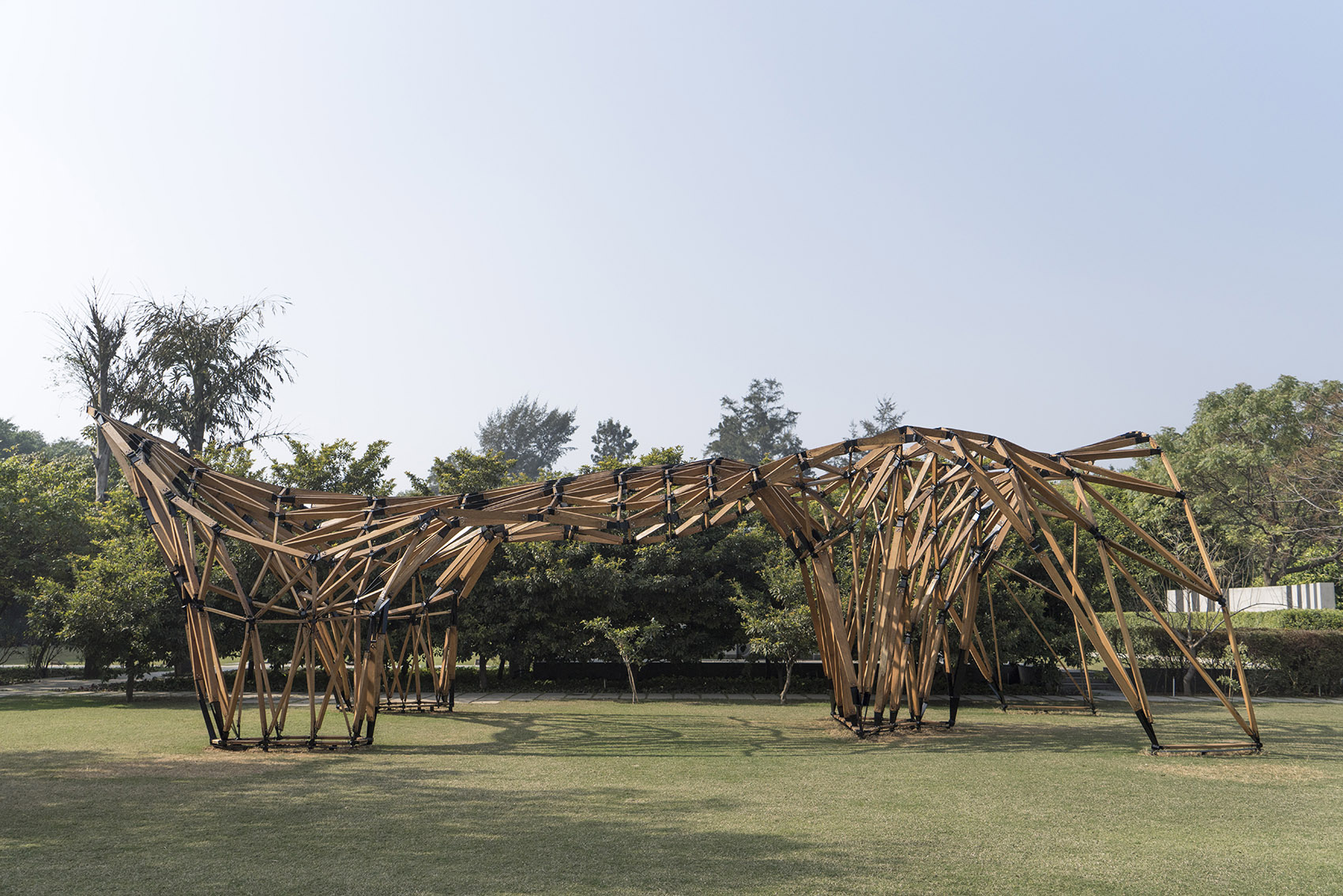 1569291388726492.jpg 2.jpg