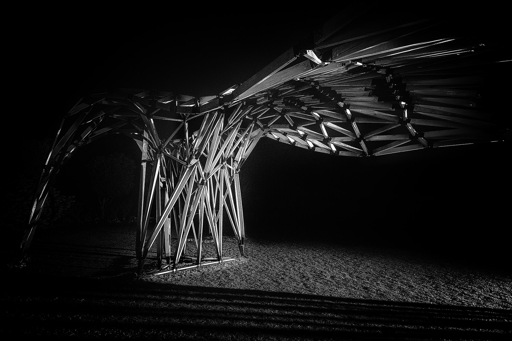 1569291445636711.jpg 10.jpg