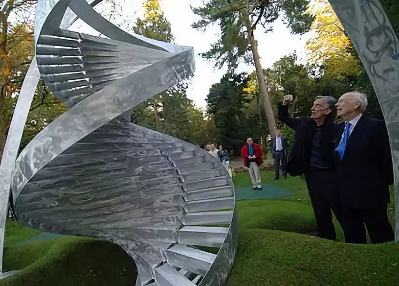 1571294004478828.jpg 640.webp (1).jpg