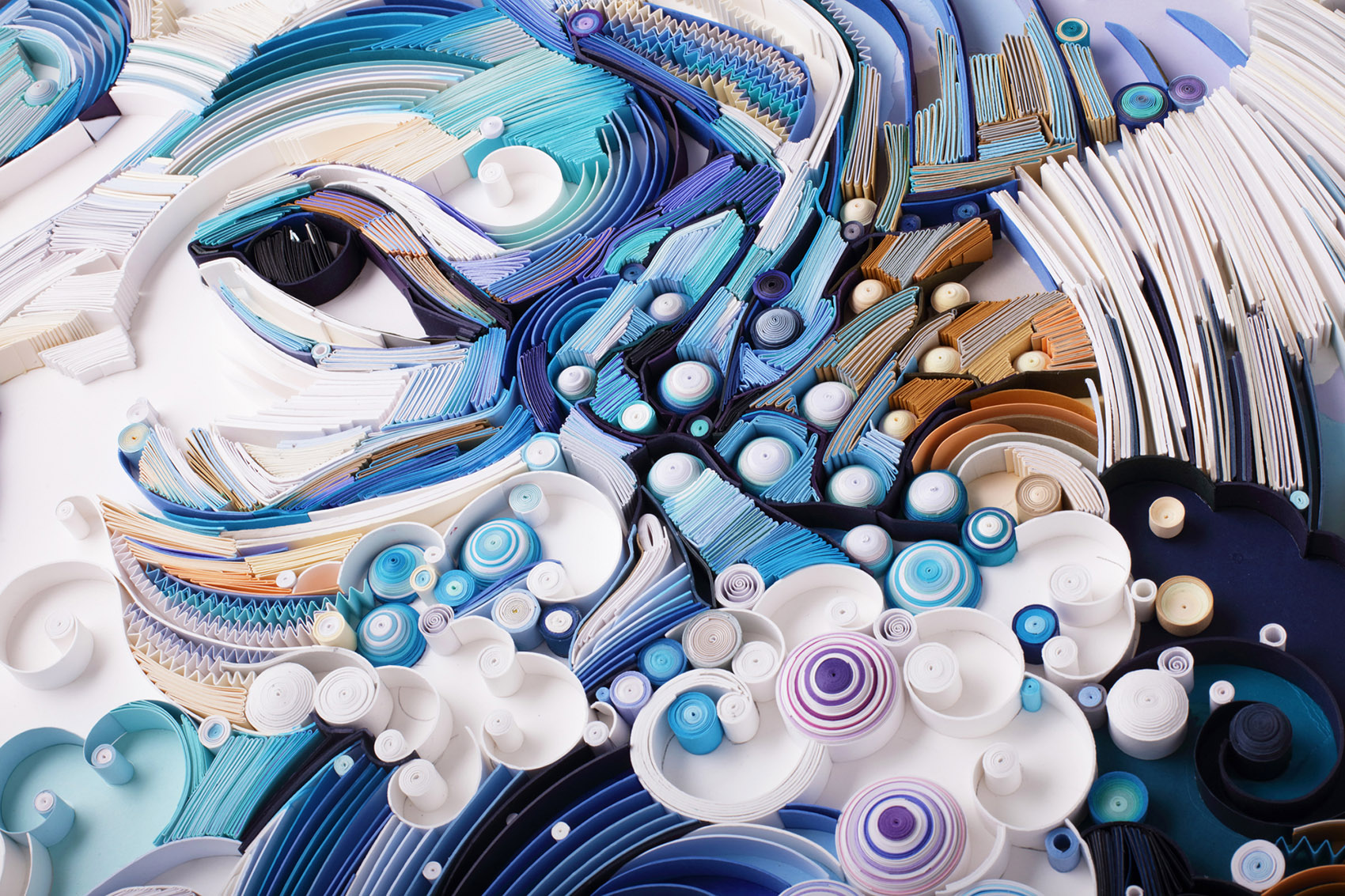 1573608480494674.jpg 7.jpg