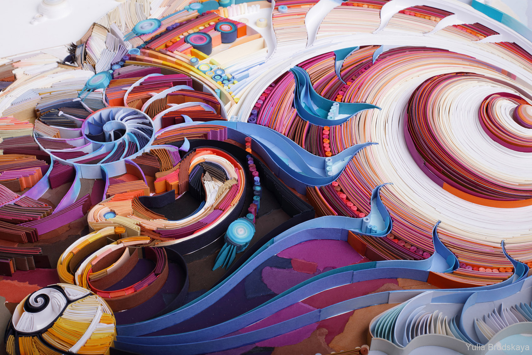 1573608492533553.jpg 9.jpg