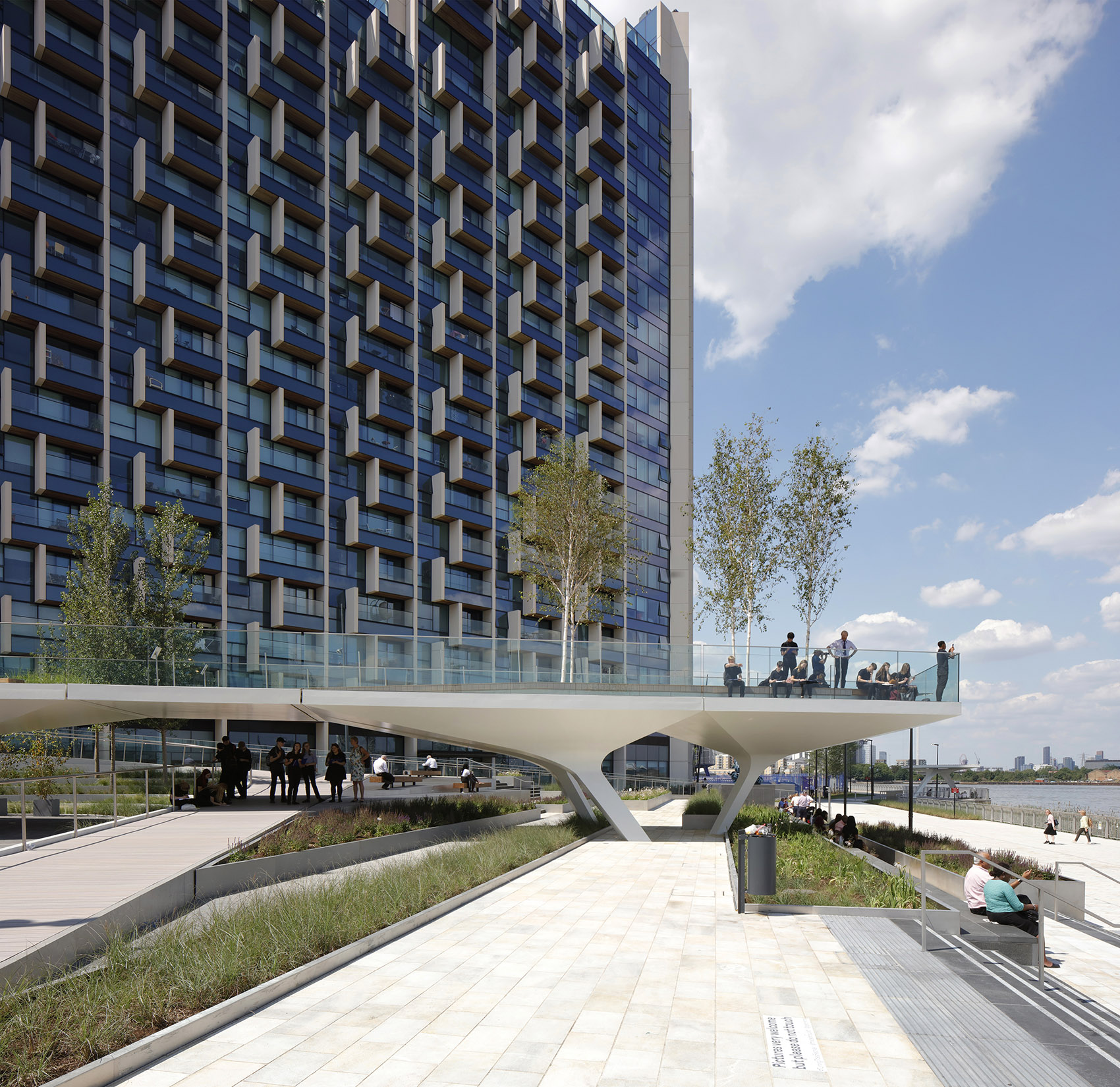 1575016020816376.jpg 4.jpg