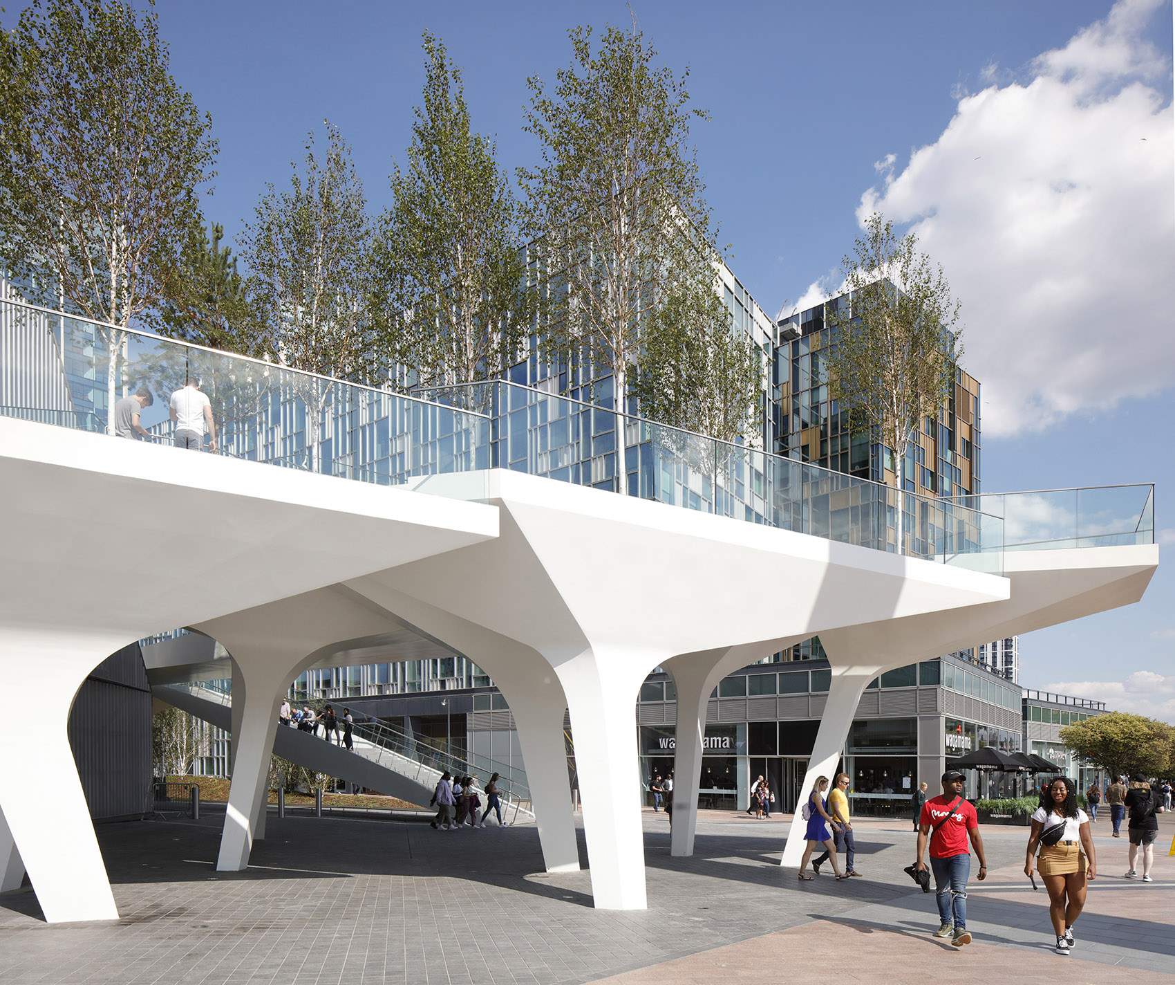 1575016038155197.jpg 6.jpg