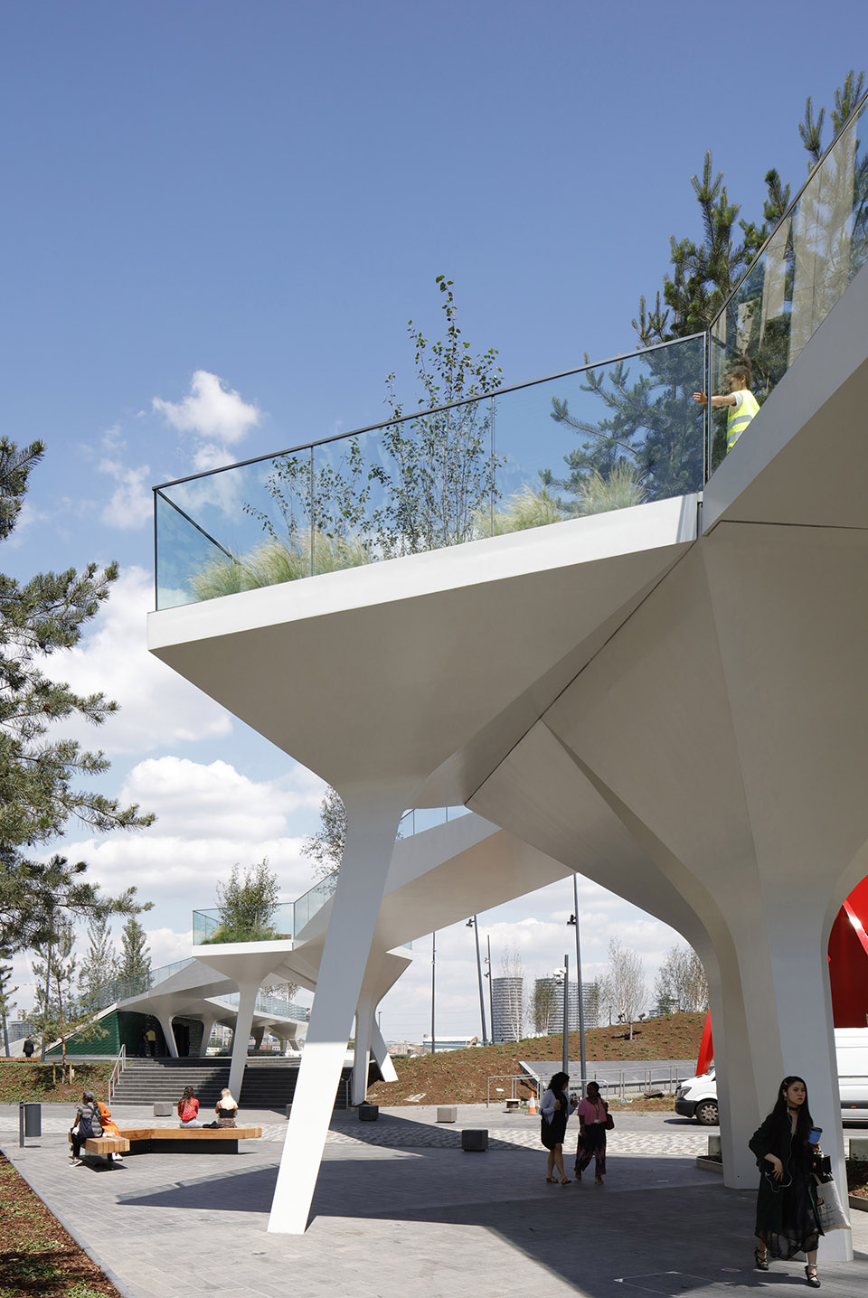 1575016060877387.jpg 7.jpg