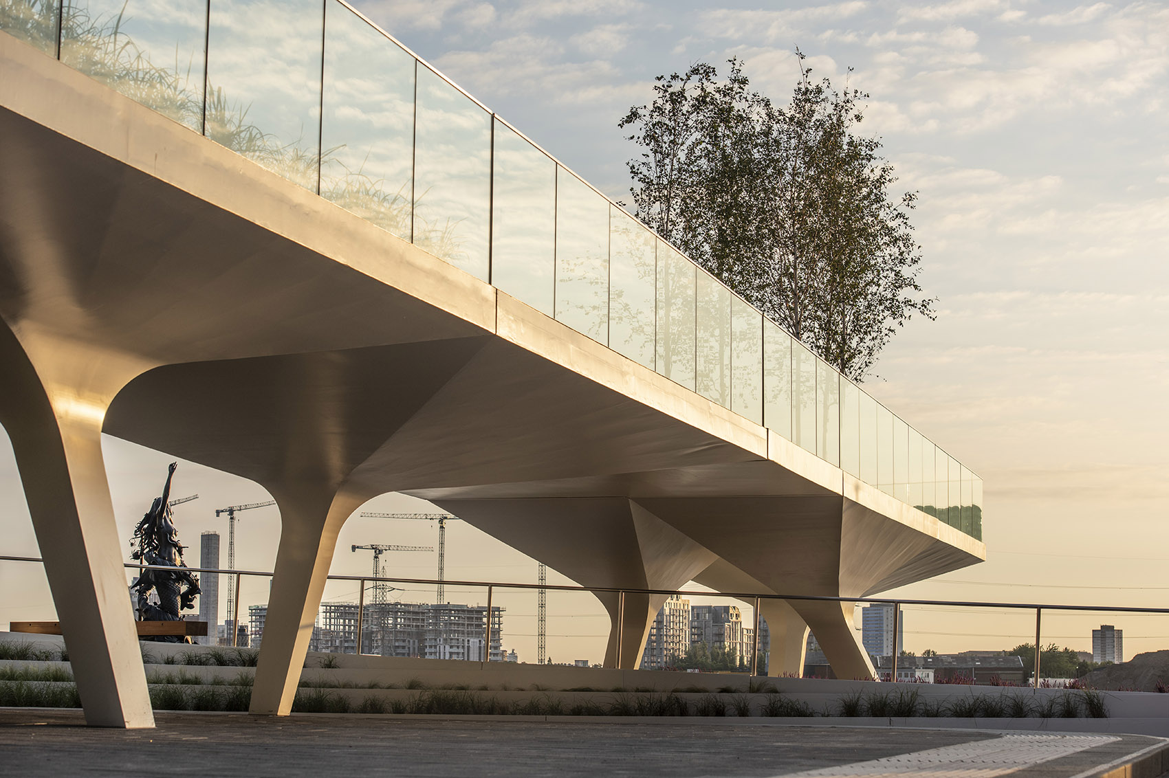 1575016099264148.jpg 13.jpg