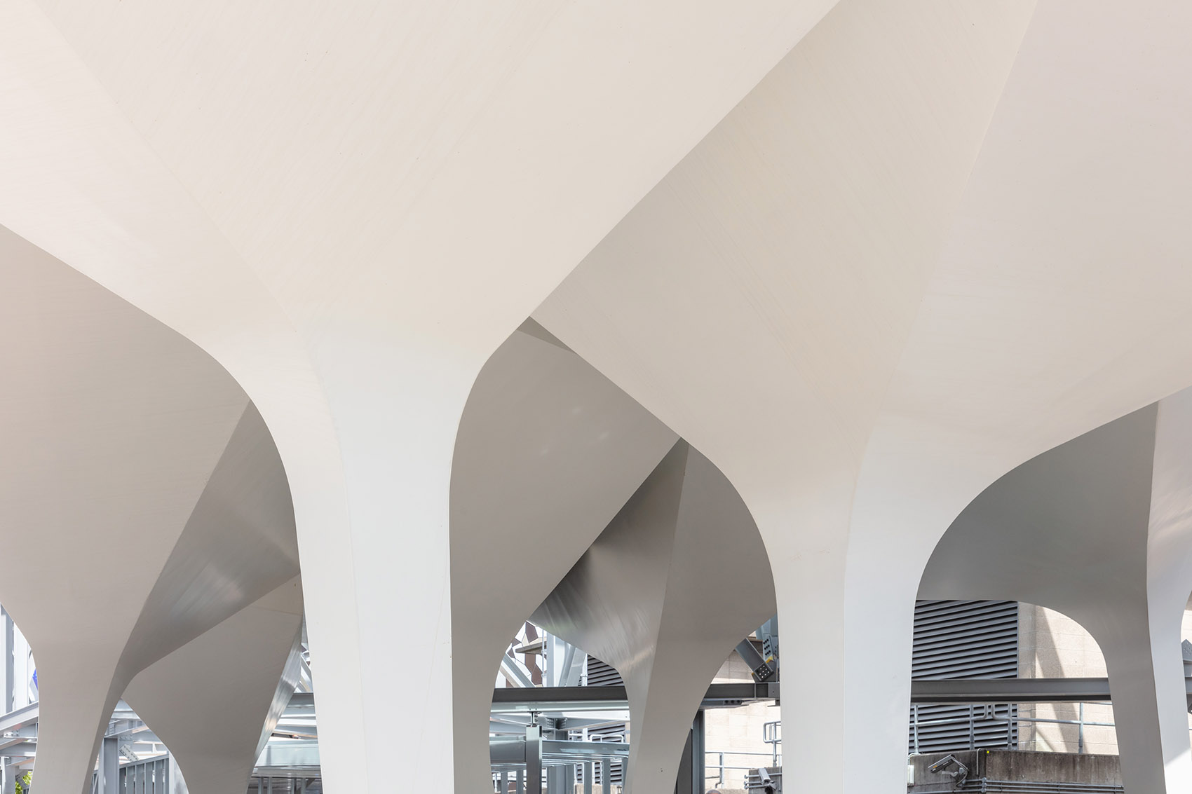 1575016109648349.jpg 15.jpg