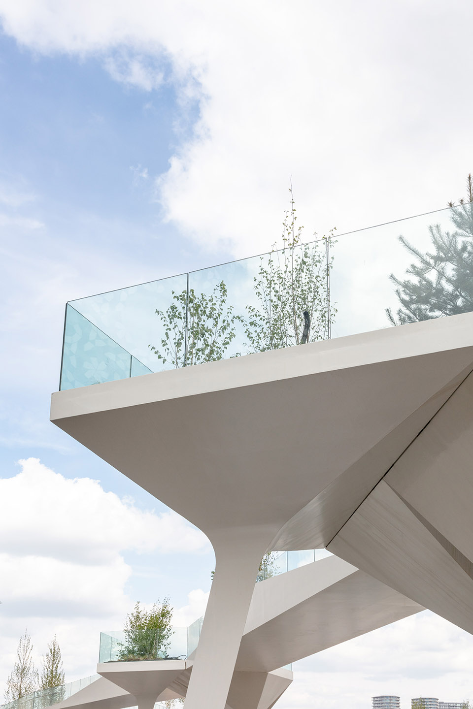 1575016190574021.jpg 20.jpg