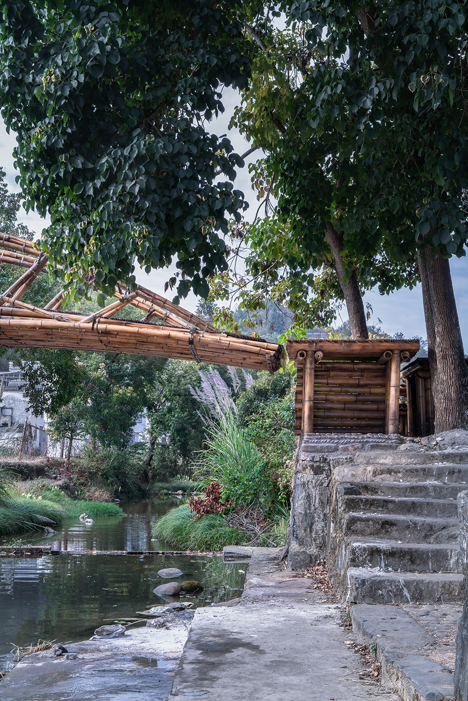 1575359486101809.jpg 20.jpg