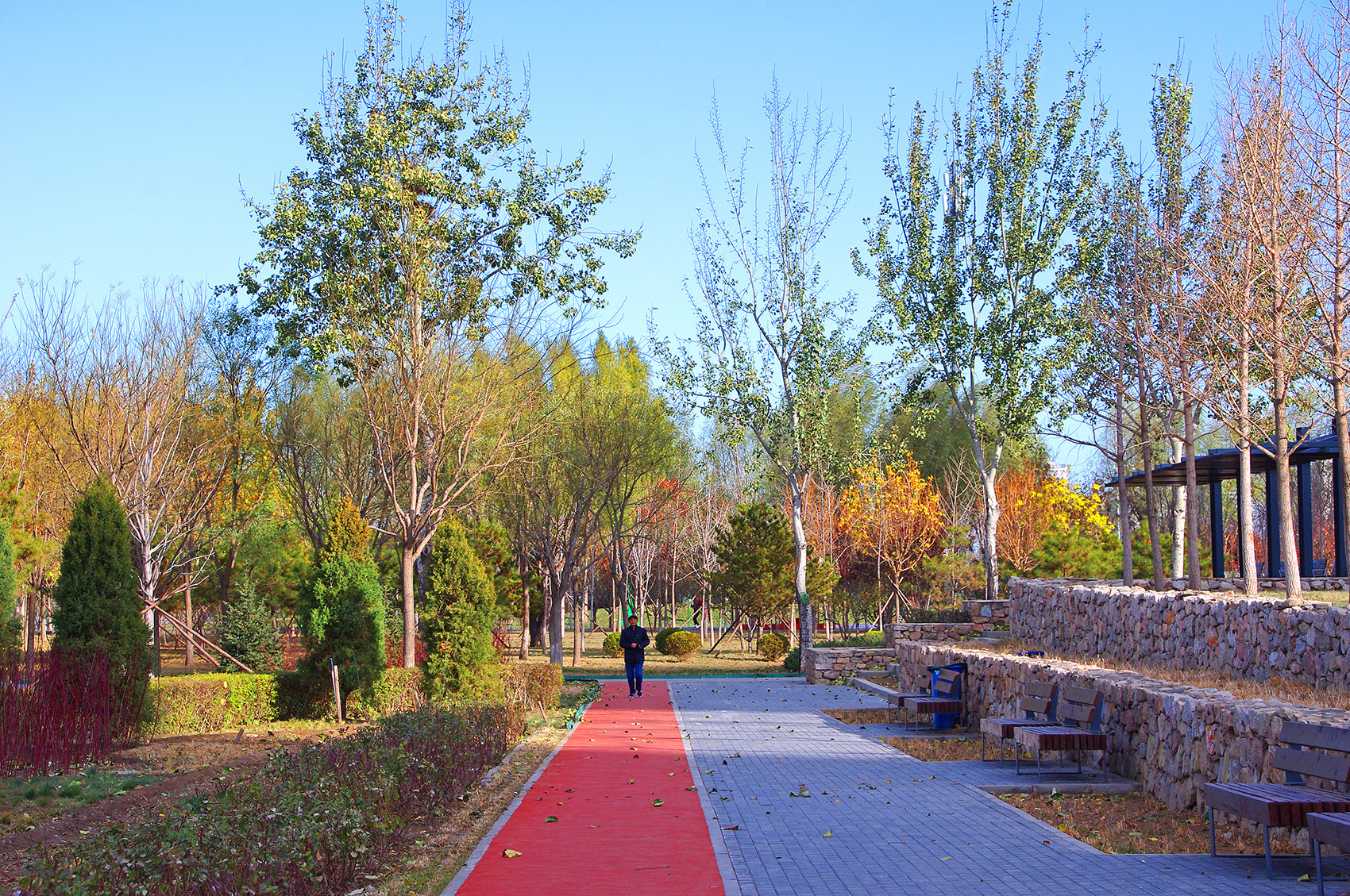 1575873949730610.jpg 7.jpg