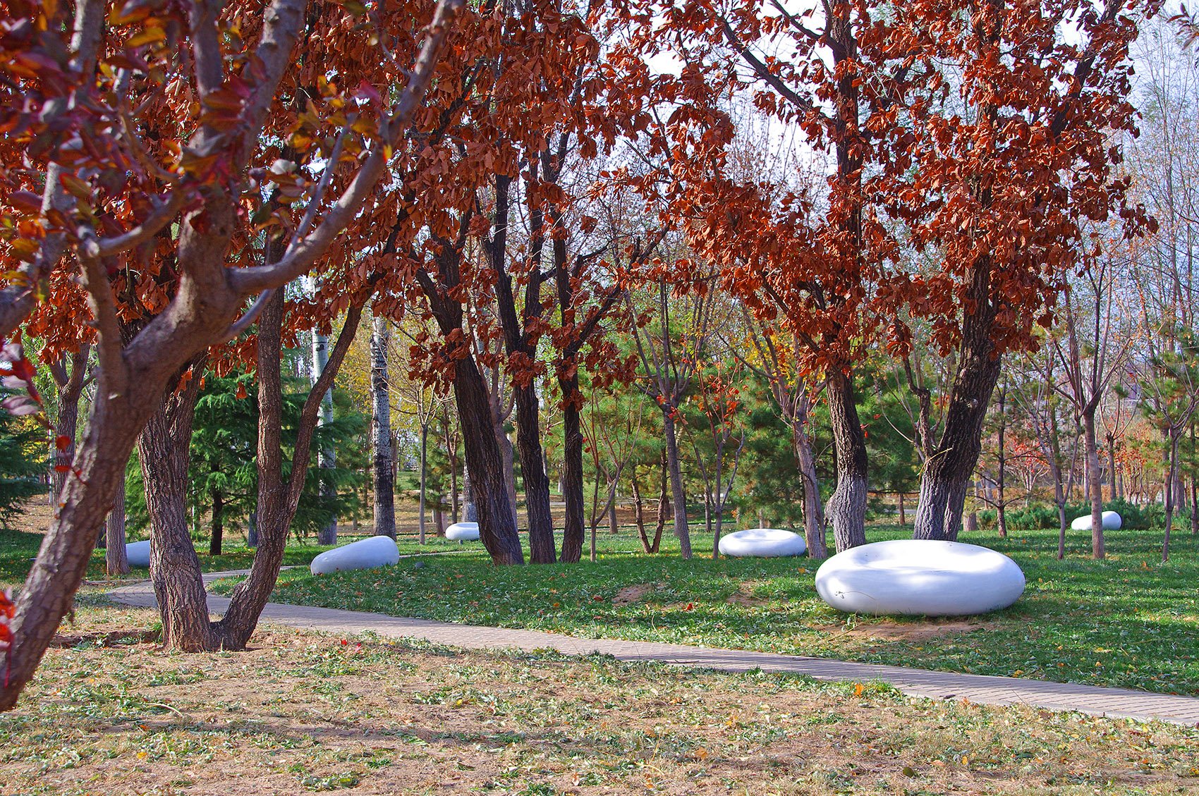 1575874196508921.jpg 31.jpg