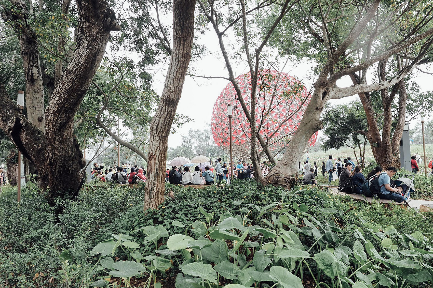 1575963605280275.jpg 6.jpg